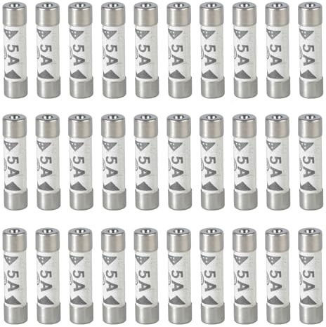 Lot de 30 fusibles tubulaires en céramique résistants au vandalisme - 5 A - 6 x 25 - Pour maison domestique - Fusibles électriques