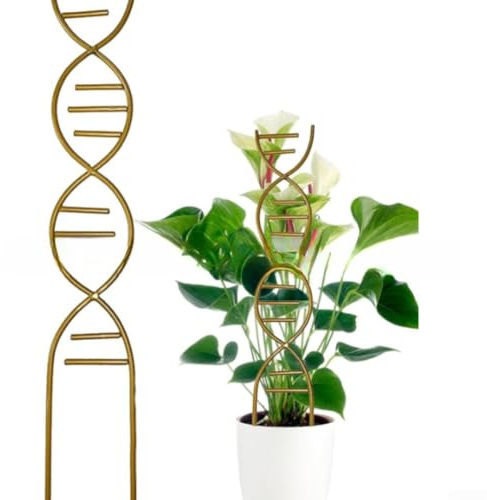 Struttura rampicante per piante da interno ed esterno, per piante in vaso, con design artistico a spirale DNA per supportare Pothos, edera e altre piante rampicanti migliorando l'estetica della stanza