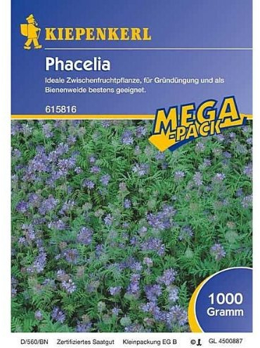 Phacelia -1 kg Gründünger Mega-Pack