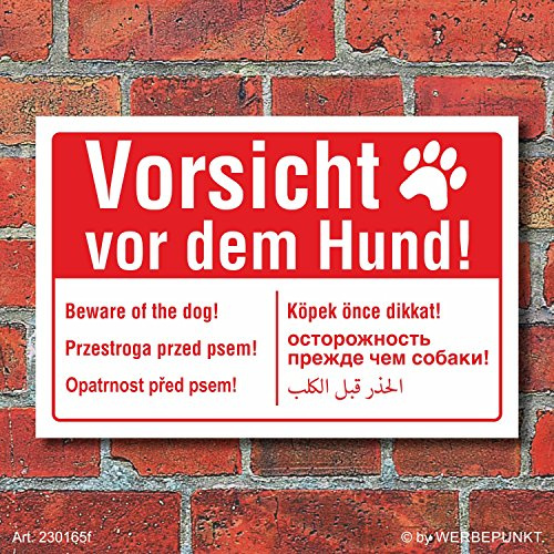 Schild Vorsicht vor dem Hund mehrsprachig englisch polnisch arabisch Alu-Verbund 450 x 300 mm