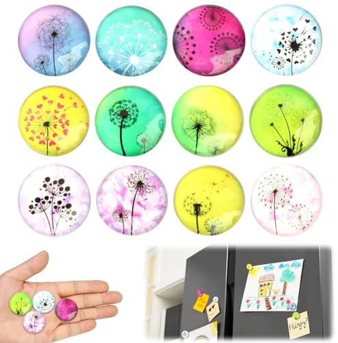 TECHEEL 12 Stück Kühlschrankmagnete Kinder - Dekorative Magnete für Heimdekoration, Büro, Magnettafeln, Schließfächer