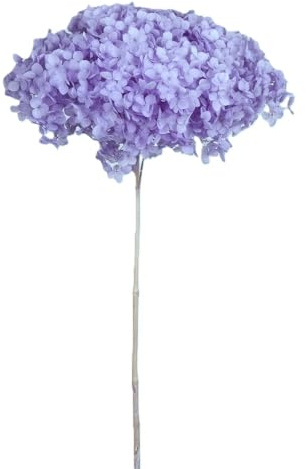 Generico Ortensia STABILIZZATA | Vari Colori | 20x60 cm Bomboniera Allestimento Feste Cerimonie Fiori Fiore Vero (Lavanda)