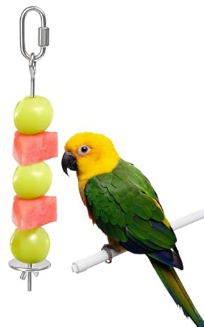 Pic à fruits pour oiseaux | Porte-brochettes à fruits en acier inoxydable – Support pour perruches – Pour cage d'ara, perruche, ninfa, conuro, pinson, inséparable, cacatoès
