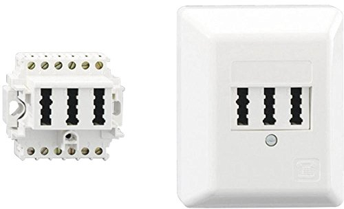 Rutenbeck 10310114 - Toma 2x tae-6/6 nff montaje superficie blanco polar