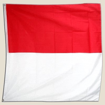 Bandiera Svizzera kanton Solothurn – 150 x 150 cm [Misc.]