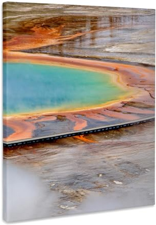 3dRose Grand Prismatic Spring, Midway Geyser Basin, Yellowstone NP, Wyoming Museum Grade Canvas Wrap 8x10