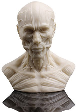 Doc.Royal Escultura de Busto Humano de Resina, Esbozo, Yeso, Modelo, decoración