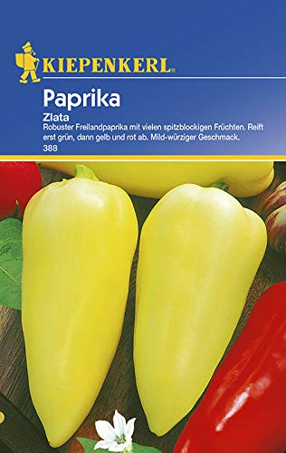 Kiepenkerl 388 Paprika Zlata (Paprikasamen)