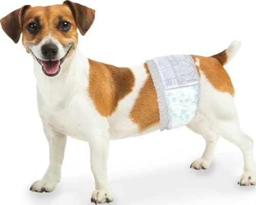 Four Paws Wee-Wee Super Absorbent Disposable Adjustable Dog Potty Training Male Wraps Diapers, Leak-Proof Protection for Puppies and Small Dogs, Extra Small, 36 Count