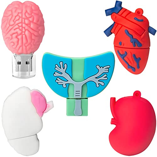 8GB*5 USB-Stick USB-Flash-Laufwerk, Memory Stick Cartoon Speicherstick Flash-Speicher-Stick, Pen Drive für Schule Büro Auto PC Laptop (8GB*5, Menschliche Organe)