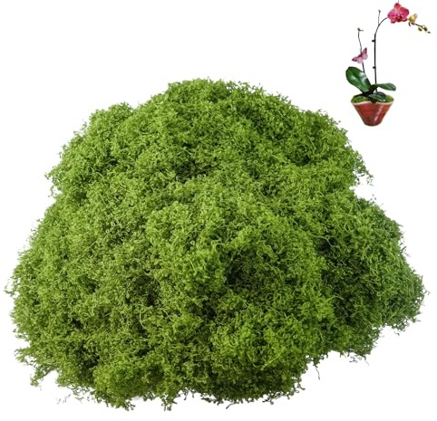 Hevysuo 200g Muschio Artificiale,Muschio Riutilizzabili Verde Scuro,Nylon Muschios Vegetale Finto per Decorazioni Parete Casa Fai da Te Modellismo Artigianato