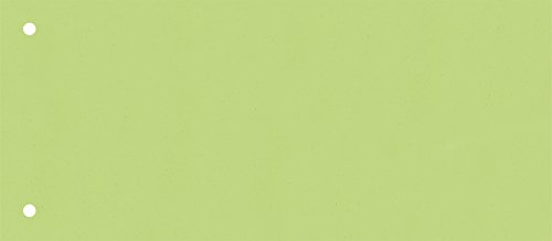Brunnen 106604050 Trennstreifen (10,5 x 24 cm quer, aus Karton, gelocht, 100 Trennstreifen) grün