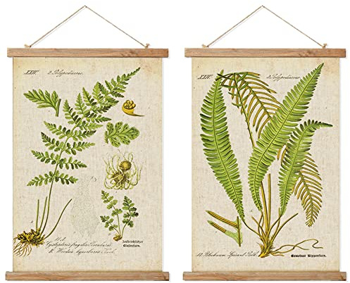 Ovfovy 2 Pack Vintage Ferns Poster with Wooden Frame - Retro Style of Wall Art Painting - Educational Chart Poster for Living Room Classroom, Ready to Hang 16 x 23 inches