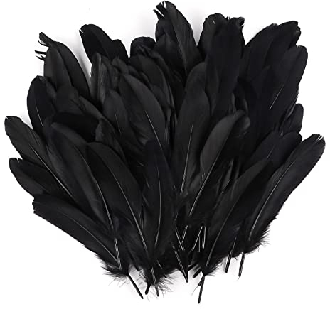 Vaktop Federn zum Basteln, 120 Stück Schwarze Federn, Natürliche Bastelfedern, Federn Deko für Traumfänger, Ohrring, DIY Basteln, Hochzeit Deko