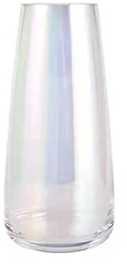 SUEOUX Vase Colorée Verre 22 cm Haut pour Fleur, Decoratif Vases en Verre Haut Moderne,Petit Vase pour la Maison, Le Salon, la Table à Manger, l'entrée, Le Bureau 22 × 10 × 7 cm