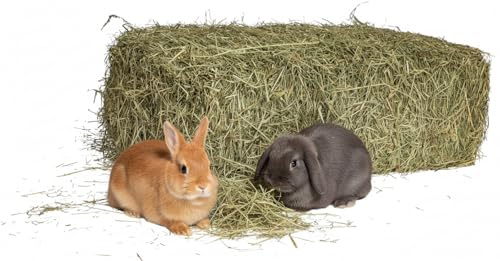 Fieno Naturale per Conigli 5 Kg | Balla di Fieno Italiano di Prato di Montagna Essiccato al Sole | Alimento per Porcellini d’India, Tutti i Roditori, Cavalli, Ovini, Caprini, Bestiame | Alta Qualità