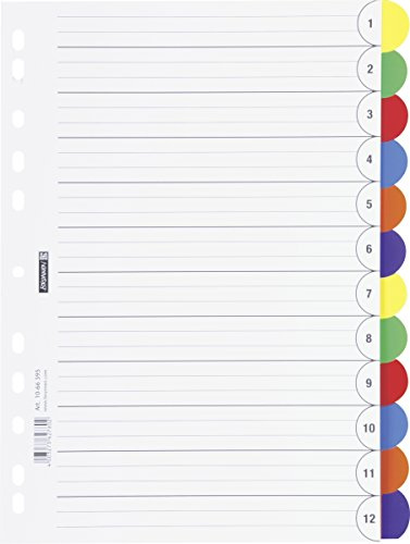Brunnen 1066595 Ringbuchregister/ Register (für Ordner / Ringbücher (A4, aus PP, 12-teilig, 6 Farben)