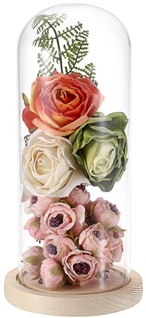 JUXYES Glass Display Dome Cloche with Solid Wood Base, Clear Glass Dome Cloche Bell Terrarium Jar Glass Cloche Bell Jar Display for Plants Collectible Figure, 4x10 Inches