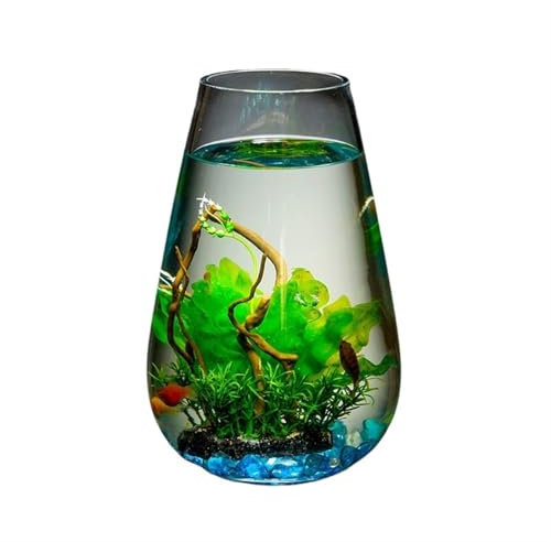 ZKALQECNF Fish Bowl Large Glass Fish Tank Cylinder Desktop Goldfish Aquarium Small Aquarium Ornaments Transparent Glass Desktop Vase Aquariums