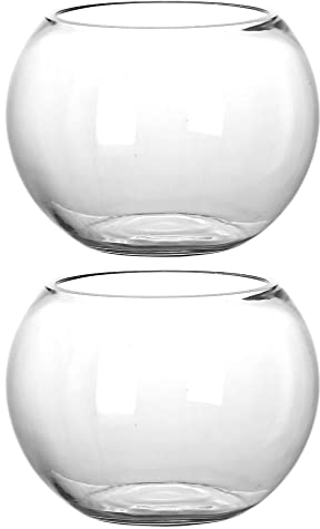 Mini-Glaskugel-Goldfischschale: 2 Stück, robuste Glasvasen, Tischdekoration, Tischdekoration