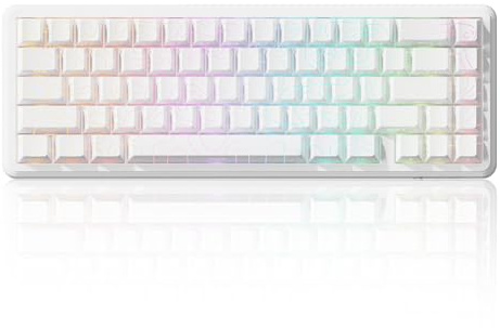 ATTACK SHARK X65 HE Magnetisk Switch Rapid Trigger Tangentbord, 65% Trådbundet Gaming-tangentbord med 8000 Hz Polling Rate, 0,01 mm RT Noggrannhet, PBT-tangenter, QMK Driver, RGB (Vita konturer)