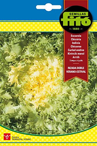 Semillas Fitó 106 - Semillas de Escarola Rizada Doble Verano Estival