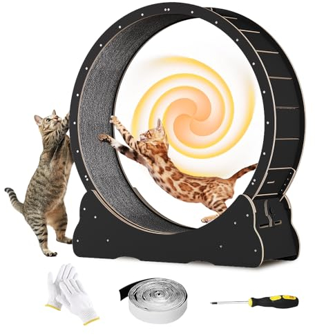 Homegroove Katzenlaufrad, 35,4 Zoll (90 cm) Laufrad für Wohnungskatzen, Katzenlaufrad-Laufband mit abnehmbarem Teppich zur Gewichtsabnahme und Gesundheitsförderung bei Katzen (Black, L)