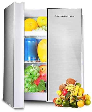 25L Mini Nevera Refrigerador Independiente Portátil Calentador Calentador De Alimentos Y Bebidas Enfriador De Bebidas Para La Oficina De La Sala De Viajes En Casa Nevera De Coche CA / CC ( Color : Dua