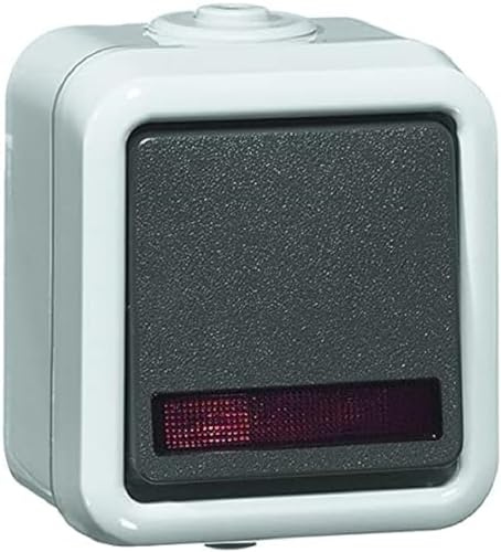 Kontroll-Wechselschalter grau