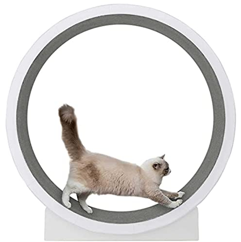 SSQUZA Katzen laufrad Wheel laufräder für Katzen Katzen laufrad drinnen Haustierfreundliches Katzenlaufband mit Austauschbarer Laufbahn,für Katzen Aller