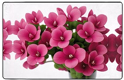 Roter Alpenveilchen-Teppich, rutschfest, moderne Bodendekoration für Schlafzimmer, Büro, Wohnzimmer, Eingangsbereich, 152,4 x 99,9 cm