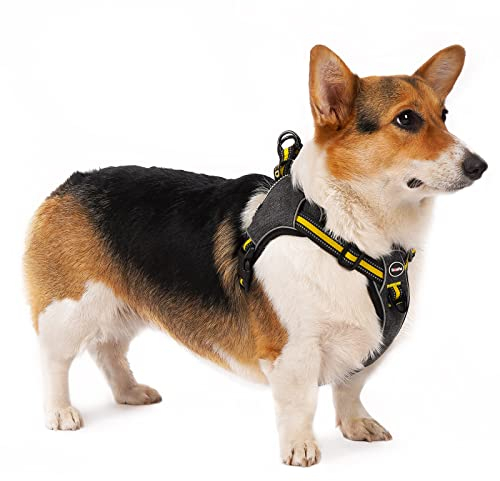 ThinkPet No-Pull Geschirr, Ausbruchsicheres Reflektierendes Step-in Hundegeschirr, Verstellbares Atmungsaktives Geschirr, mit hinterem/vorderem Clip für bessere Kontrolle