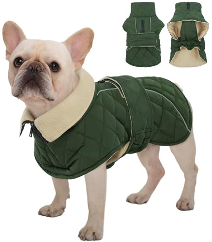 Kuoser Hundemantel für Kleine Hunde, wasserdichte Winterjacke für Hunde, Warme Hundejacke mit Fleece, Verstellbare Bauchpartie & Reißverschluss-Leinenöffnung, S Grün