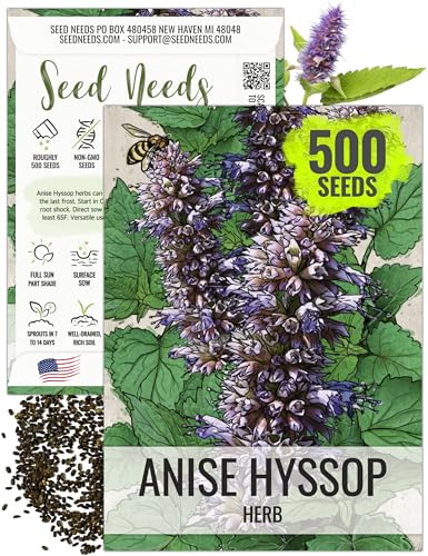 Seed Needs Anise Hyssop Seeds for Planting Agastache foeniculum - Non-GMO Heirloom & Untreated - Grow a Medicinal/Culinary Herb Garden for Tea & Essential Oils (1 Pack)