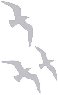 GRAZDesign Fenstertattoo Möwen maritim, Vogelschutz Folie, Fensteraufkleber für Badezimmer, Glastattoo für Dusche / 49x30cm