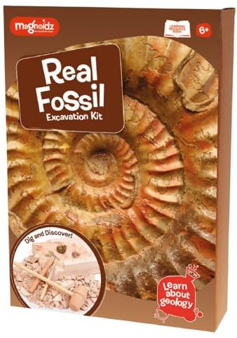 Magnoidz Geology Fossil Dig & Excavationssats