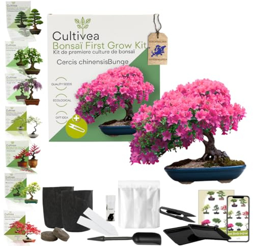 CULTIVEA Kit First Bonsai – Kit Completo con Semi, Accessori e Guida – Bonsai da Coltivare | Idea Regalo Originale (Cercis chinensisBunge)