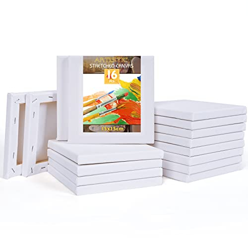 HOTOOLME Keilrahmen Mini Leinwand (16)