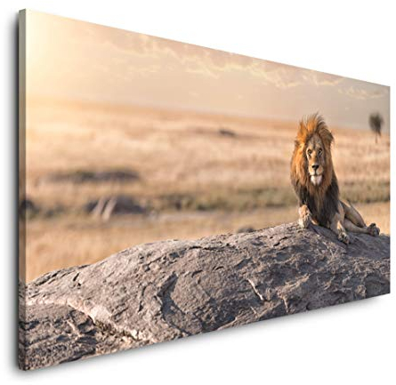 Löwe auf einem Stein 120x 60cm Panorama Leinwand Bild XXL Format Wandbilder Wohnzimmer Wohnung Deko Kunstdrucke