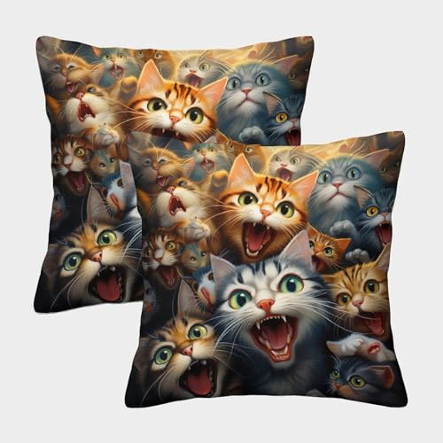 GXYUAOIEF Katze Kissenbezug 2er Set Tier Expression Couchkissen Überwurf Für Sofa Wohnzimmer Mit Verstecktem Reißverschluss Kissen Aesthetic Deko 50x50cm
