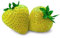 FRAGOLA GIALLA NR.50 SEMI