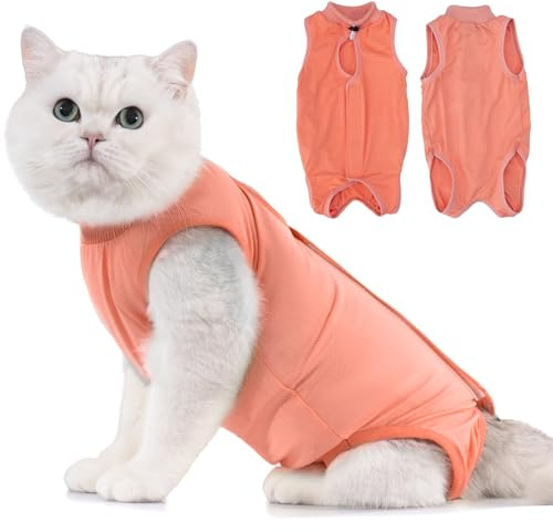 Avont Cat Recovery Suit Post Surgery, Elizabethan Collar & Cone Alternative, Kitten Onesie Pet Surgical Spay Shirt for Abdominal Wounds or Skin Diseases -Coral (M)