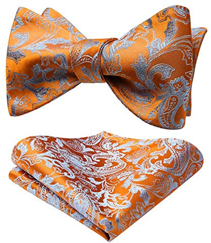 HISDERN Fluga för män, självknutna rosetter, slips och näsduk, set, klassisk paisley-fluga för affärer, smoking, bröllopsfest, bal med presentask, en storlek