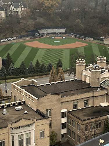 Plant Growth Rhizobacteria's Potential Use In Sports Turf