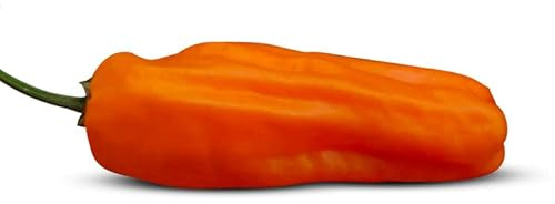Pepper Joe's Orange Jalapeno Seeds – Pack of 10+ Hot Pepper Seeds – USA Grown – Jalapano Orange Spice Seeds