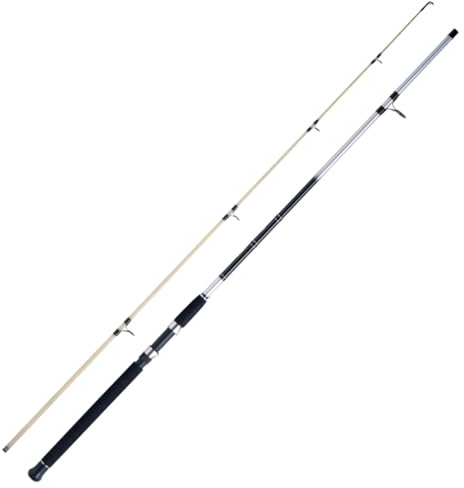 WFT Loom Aal Spezial 40-90g 2,70m Glow Tip - Angelrute zum Aalangeln, Steckrute zum Angeln auf Aal