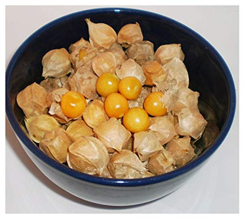 PREMIER SEEDS DIRECT TOMATILLO - Pineapple - PHYSALIS IXOCARPA - 50 Finest Seeds