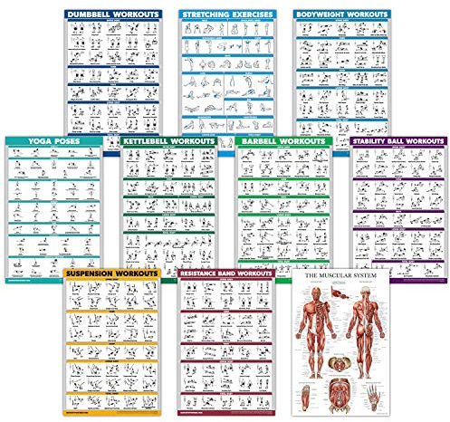 10-pack – träningspass affischset – hantel, upphängning, kettlebell, motståndsband, stretching, kroppsvikt, skivstång, yogaposer, träningsboll, muskelsystemdiagram (laminerad, 45 x 68 cm)
