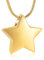 VCCWYQK Collar de urna de estrella pequeña para cenizas para mujer, collar conmemorativo de acero inoxidable para mascotas humanas Ashe, Acero inoxidable, No es una piedra preciosa