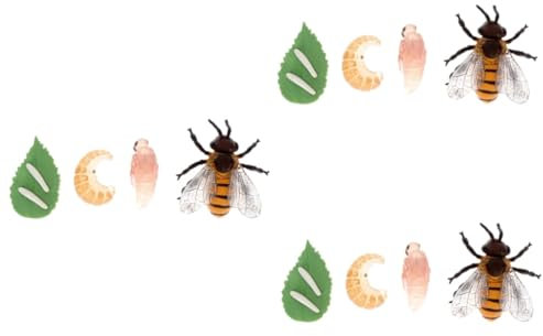WOONEKY 3sätze Modellen Lebenszyklus Von Kleinen Meerestieren Miniatur-Simulation Entwicklung Von Krebsen Und Bienenfiguren Pädagogisches Spielzeug Teilige Sammlung
